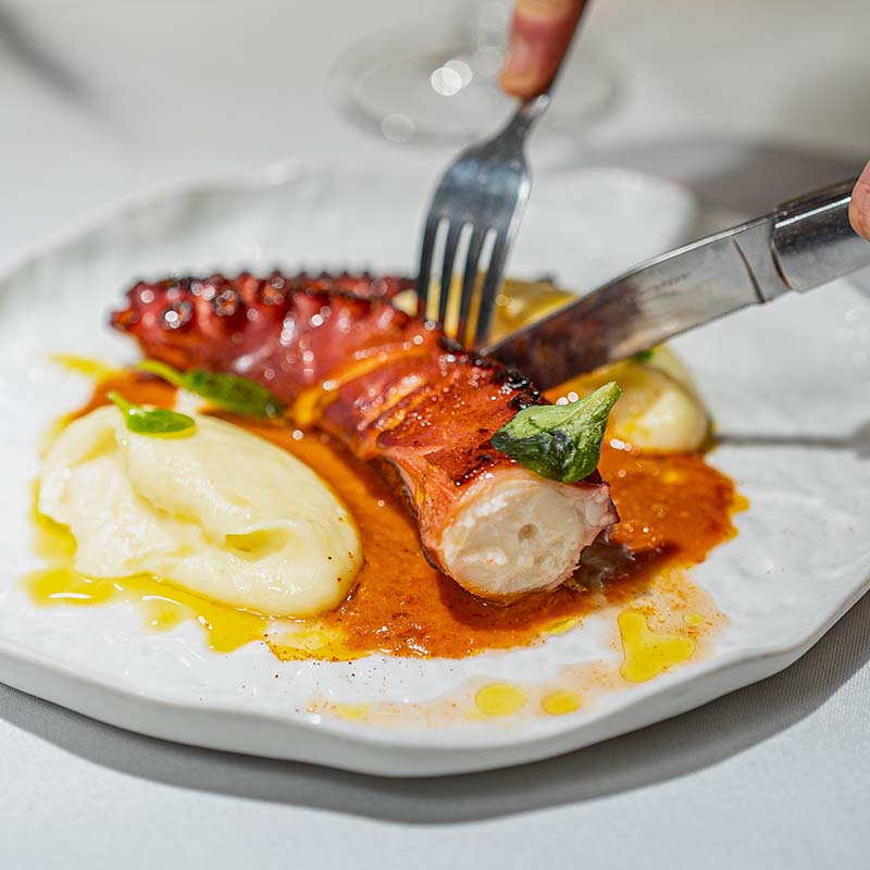 PLATO 1 PLATO 1